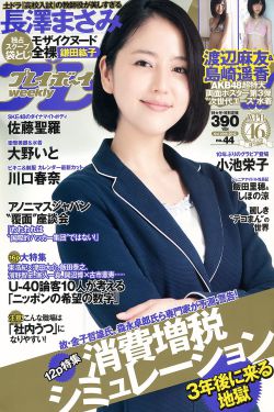 新女巡按